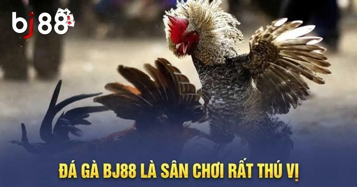 Tổng hợp c&aacute;c h&igrave;nh thức chọi k&ecirc; BJ88 hấp dẫn